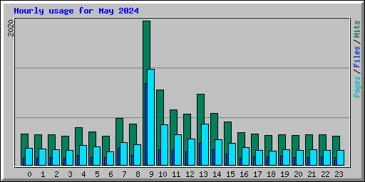 Hourly usage for May 2024