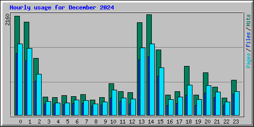 Hourly usage for December 2024