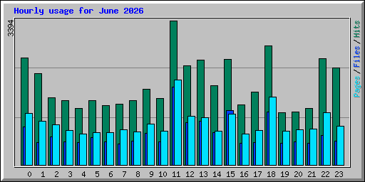 Hourly usage for June 2026